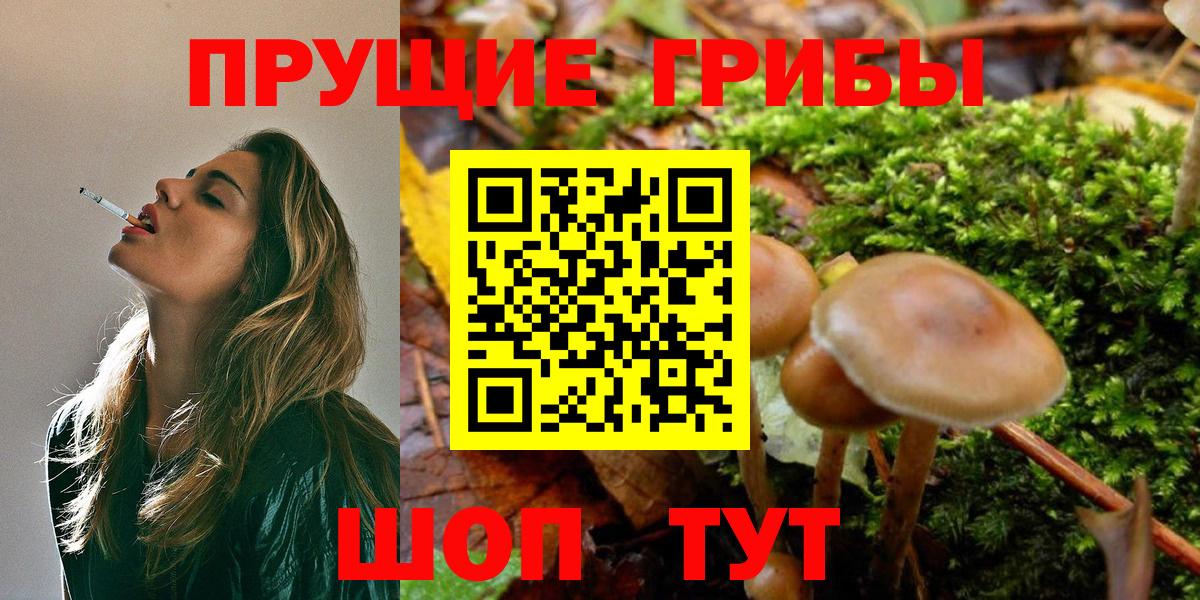 как найти наркотики  Вход с VPN  Ирбит  Галлюциногенные грибы Cubensis 