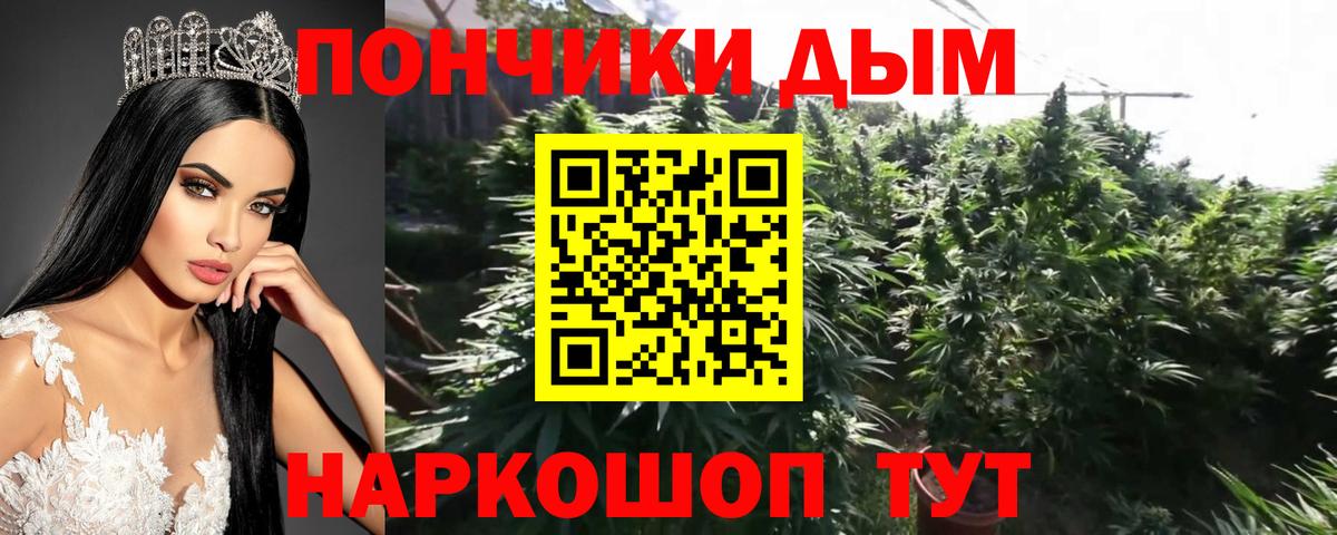 Бошки марихуана Bruce Banner  Вход с VPN  Ирбит  Бошки марихуана Amnesia  Марихуана планчик  Конопля семена 